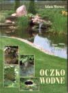 Oczko wodne
