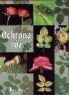 Ochrona róż