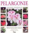 Pelargonie