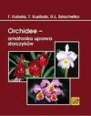 Orchidee