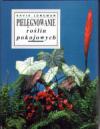 Pielęgnowanie roślin pokojowych