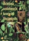 Ochrona ozdobnych krzewów liściastych