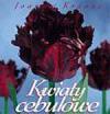 Kwiaty cebulowe
